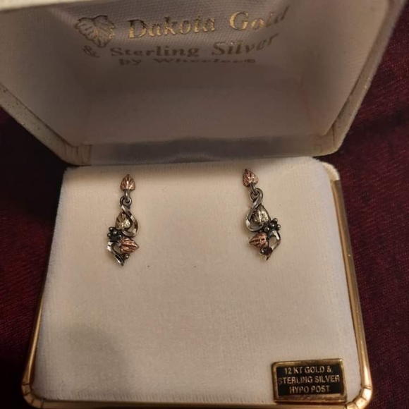Dakota Gold Earrings - Picture 1 of 1